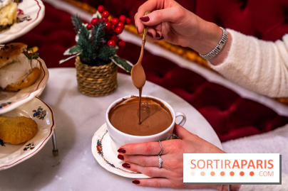 Tea time bon et pas cher de Violetta et Alfredo Paris 9e - A7C02141