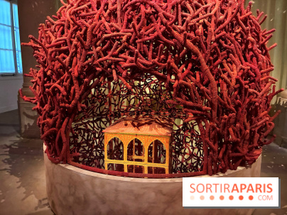 Ce qui se trame - IMG 1251