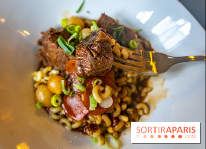 Le petit bouillon de la gare à Asnières-sur-Seine - photos - boeuf bourguignon