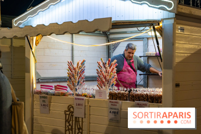 Le Marché de Noël d'Elancourt dans les Yvelines 2025 - photos  - A7C02540
