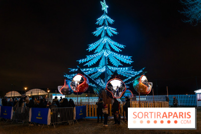 Le Marché de Noël d'Elancourt dans les Yvelines 2025 - photos  - A7C02574