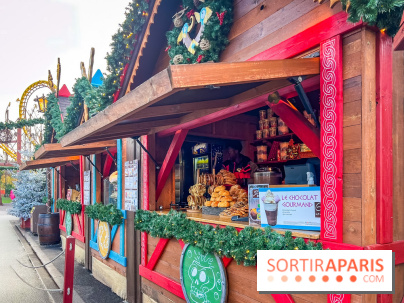 Noël au Parc Astérix 2025, patinoire et marché de Noël  - IMG 7398