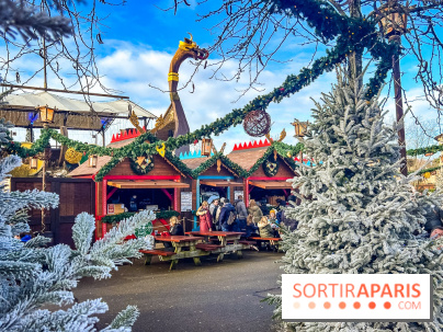 Noël au Parc Astérix 2025, patinoire et marché de Noël  - IMG 7514