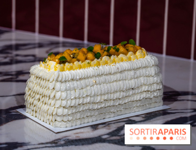 Bûche de Noël Paris-Brest pistache et tropicale de Nour Kandler - Lalla Coffee - A7C02384