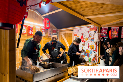 Le Japon en Lumières : le parcours lumineux et festival des lanternes 2025 du Jardin d'Acclimatation - IMG 5036