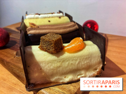 Bûches de Noël végétales de La Mauvaise Herbe - IMG 1589