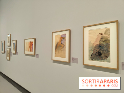 Rodin, dessins libres : une exposition d'œuvres rarement montrées au musée Rodin se dévoile - fotor 1765539548460