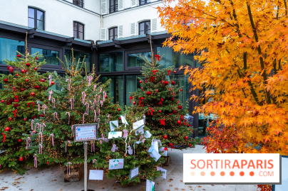 Le menu festif de décembre du Marguerite 1606 au Domaine de la Reine Margot - les photos - A7C02487