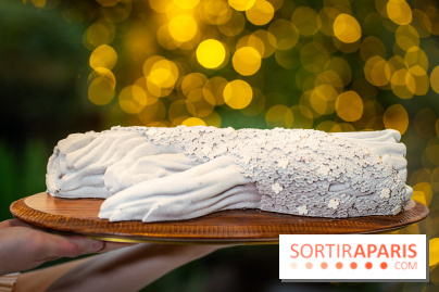 Le tea time de Noël du George V 2025, les photos - buche de noël