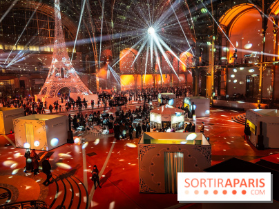 Le Grand Palais des Glaces 2025 - les photos - IMG 8118