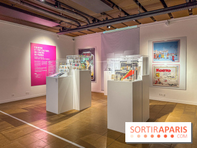 L'Univers des Figurines à l'Ancienne Poste de Versailles - IMG 2690