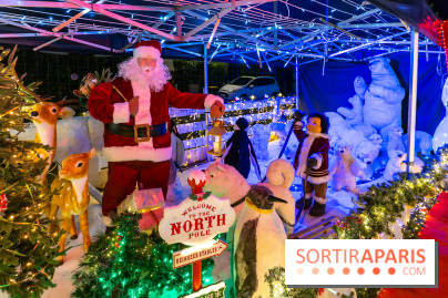 Ce passionné en Essonne transforme son jardin en Village de Noël à visiter gratuitement