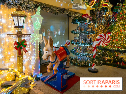 Ce passionné en Essonne transforme son jardin en Village de Noël à visiter gratuitement