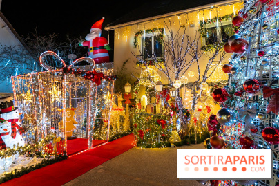 Ce passionné en Essonne transforme son jardin en Village de Noël à visiter gratuitement
