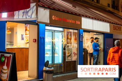 Les bûches de Noël glacées de Bachir spécial dômes parisiens  - A7C03253