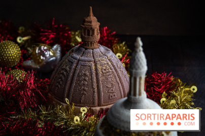 Les bûches de Noël glacées de Bachir spécial dômes parisiens