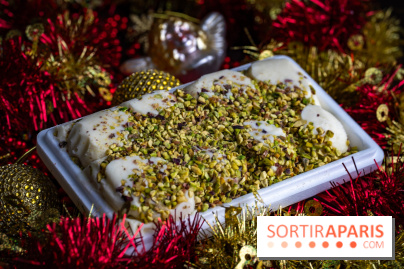 Les bûches de Noël glacées de Bachir spécial dômes parisiens  - A7C03439