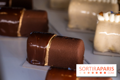 Les bûches de Noël artisanales de Baiman's Cake à Montreuil - photos - A7C03375