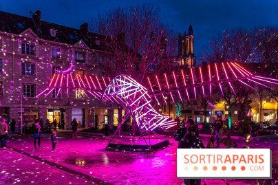 Lueurs de Mantes 2026, les photos du parcours lumineux gratuit des Yvelines