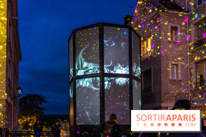 Lueurs de Mantes 2026, les photos du parcours lumineux gratuit des Yvelines