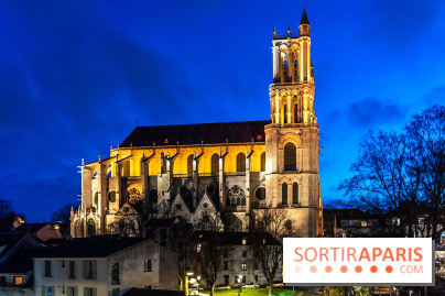 Lueurs de Mantes 2026, les photos du parcours lumineux gratuit des Yvelines