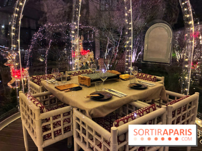 Les Bulles du Quinzerie - IMG 2381