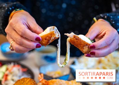 Katsu Katsu, restaurant japonais spécialisé dans la panure Paris 2e - A7C03628