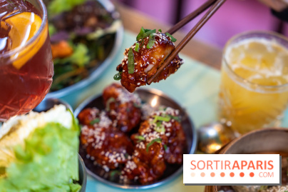 Hallyu Kitchen, le nouveau restaurant coréen Paris 9e - photos - A7C04005