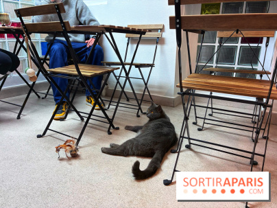 Le Chatelier - IMG 2473