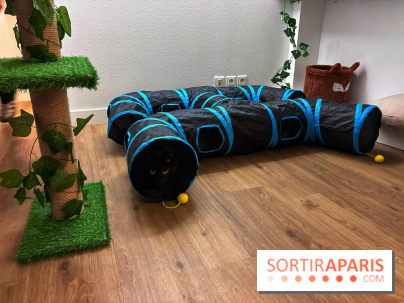 Le Chatelier - IMG 2482