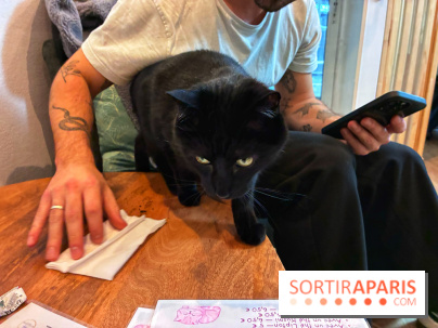 Le Chatelier - IMG 2498