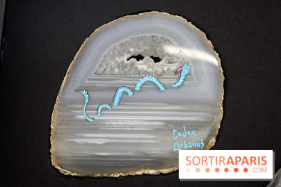 Codex on the Rocks, nos photos de l'expo au Musée de Minéralogie à Paris