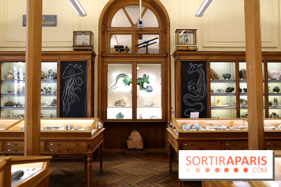 Codex on the Rocks, nos photos de l'expo au Musée de Minéralogie à Paris