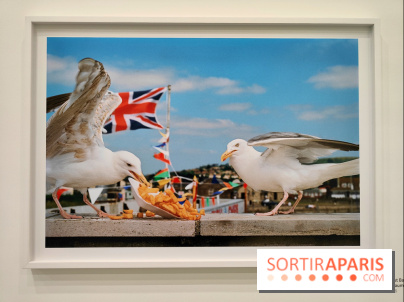 Global Warning : le photographe Martin Parr à l'honneur dans une exposition au Jeu de Paume - fotor 1769689992897