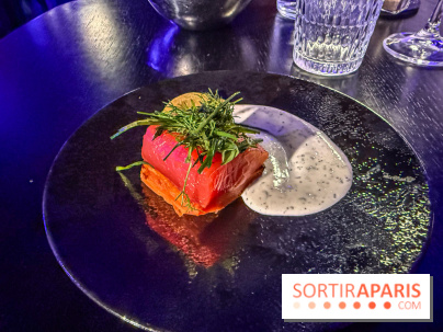 Lou Diprey : le cabaret pop moderne et intimiste à Paris 10ᵉ - IMG 3093