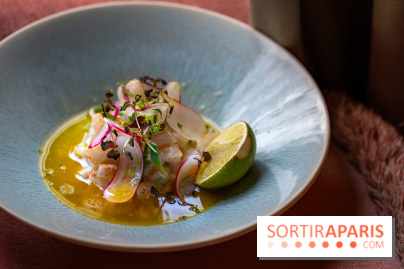 Les Jardins du Presbourg restaurant Paris 16 - A7C04724