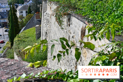 Le jardin des cinq sens à Pontoise, un lieu bucolique et sensoriel ! - DSC 5127