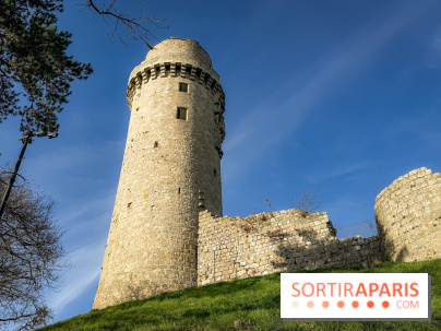 Ile-de-France : La Tour de Montlhéry au panorama unique sur l'Essonne - IMG 0592