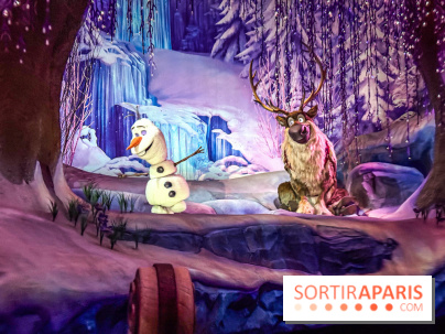 Frozen Ever After : l'attraction La Reine des Neiges à Disneyland Paris - IMG 3886