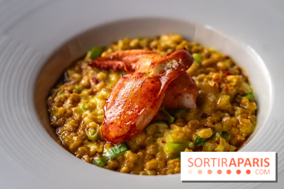 Les 110 de Taillevent, le restaurant traditionnel en accords mets et vins - photo - risotto au homard