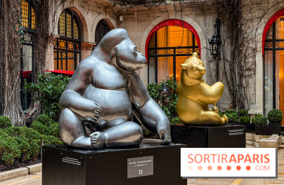 Exposition gratuite au Plaza Athénée : le bestiaire de Michel Bassompierre s'invite au palace - IMG 3929