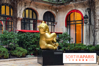 Exposition gratuite au Plaza Athénée : le bestiaire de Michel Bassompierre s'invite au palace - IMG 3916