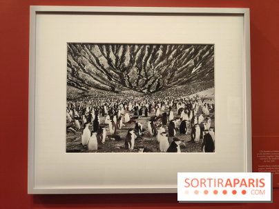 Sebastião Salgado au cœur d'une exposition de photos gratuite à l'Hôtel de Ville de Paris