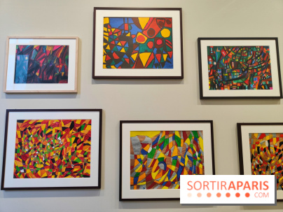 Sebastião Salgado au cœur d'une exposition de photos gratuite à l'Hôtel de Ville de Paris - fotor 1771520540462