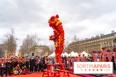 Nouvel an Chinois - Lunaire Place de la République 2026 - les photos