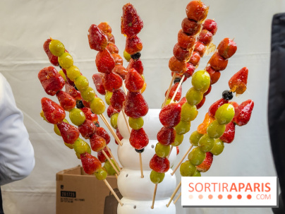 Nouvel an Chinois - Lunaire Place de la République 2026 - les photos - IMG 1481