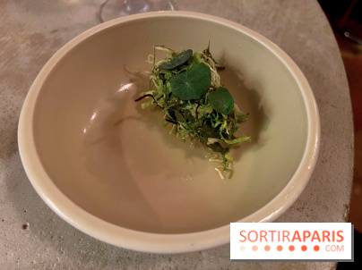 Vivide - Sorbet aux herbes 