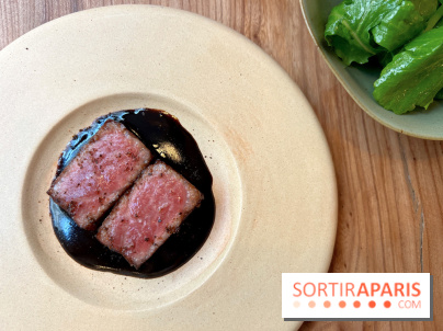 Masaikuta - Thon otoro, civet