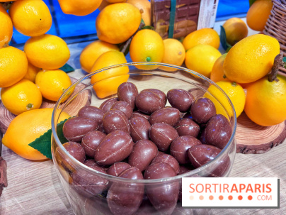 Pâques 2026 chez Mon Jardin Chocolaté