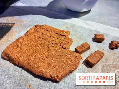 Atelier rocher praliné Edwart Chocolatier - IMG 3919